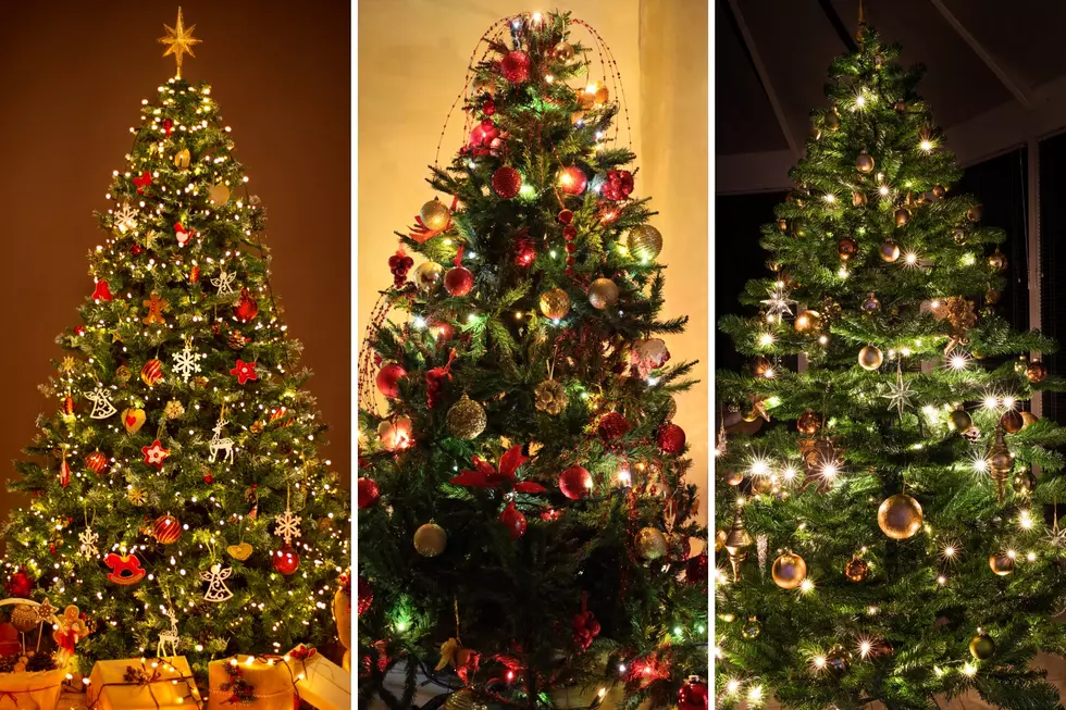 5 Amazing Christmas Trees That Are Grown Right Here In Texas