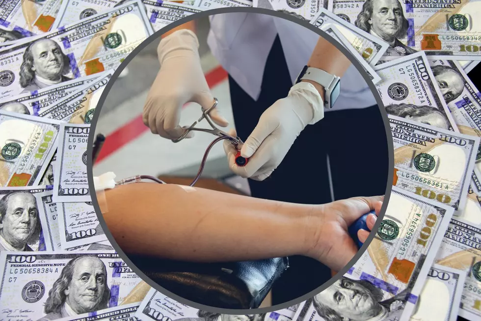 5 Ways Donating Plasma Can Boost Your Bank Account and Health
