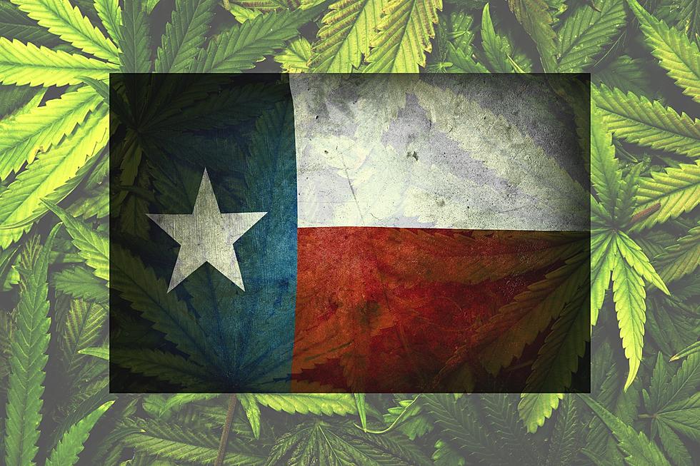 Need Weed? Marijuana Laws In Texas Could Change