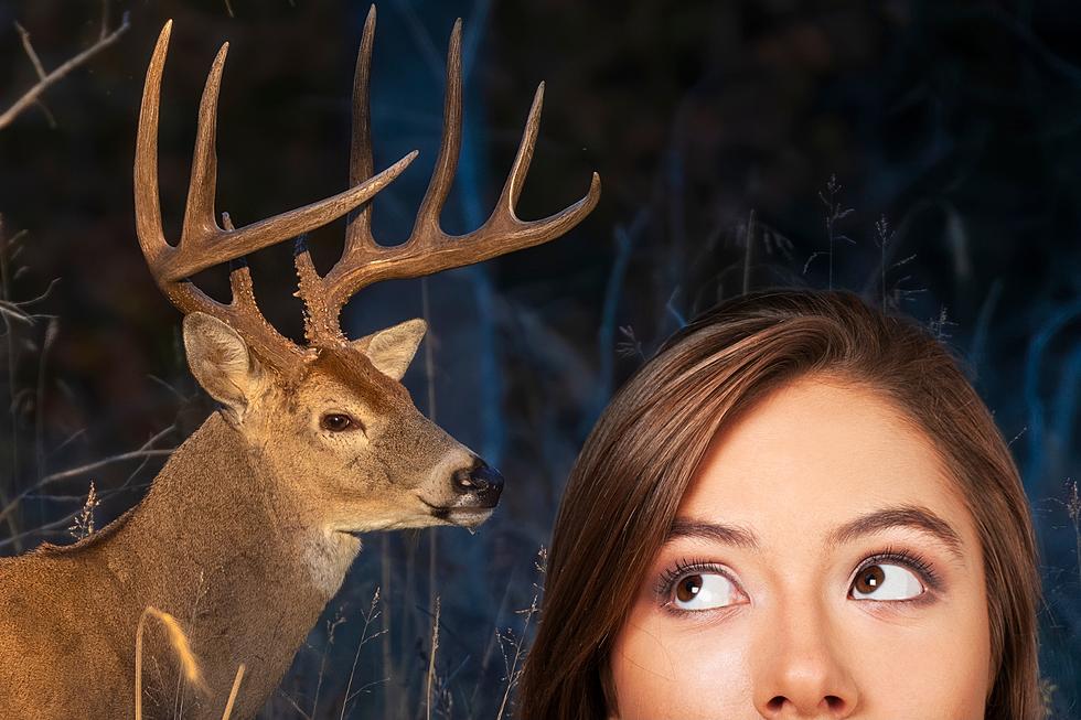 Locked Eyes With A Texas Deer? Here Are 6 Spiritual Meanings Why