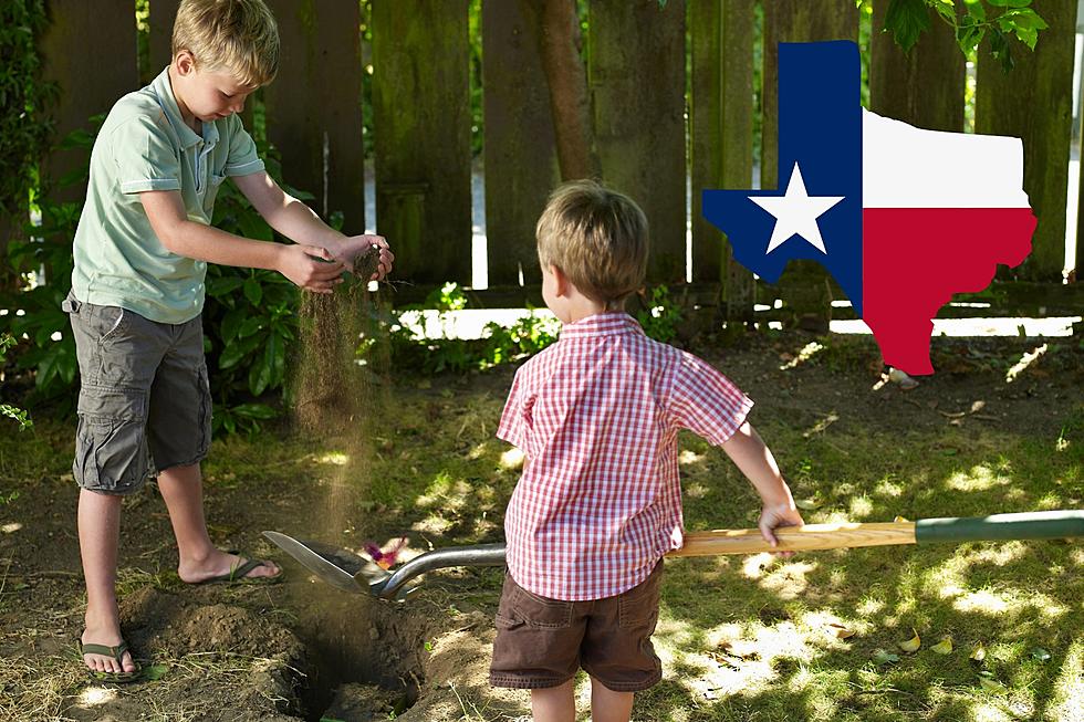 Is It Legal To Bury A Dog In Your Backyard In Texas?