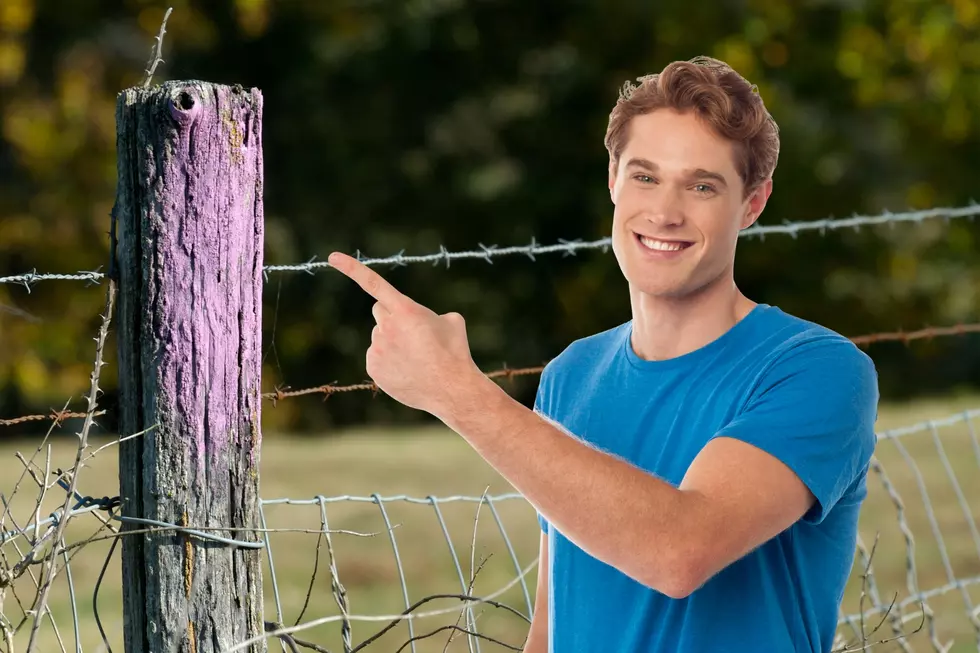See A Purple Painted Fence Post? Back Away Immediately