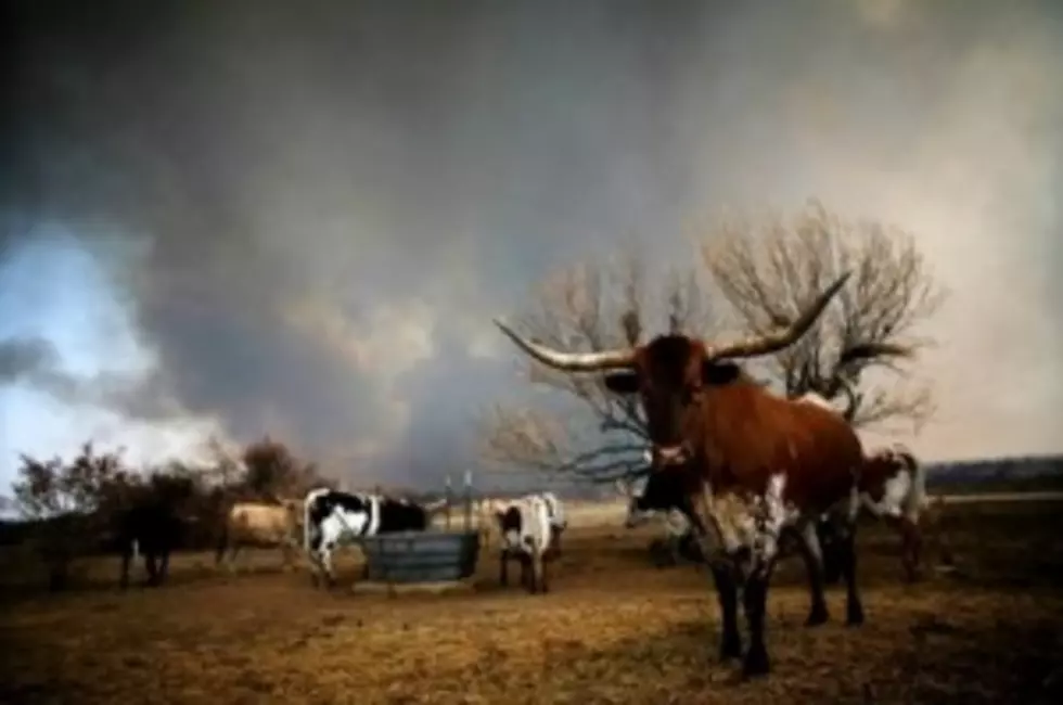 Labor Day Weekend Fires Continue To Burn In Texas [VIDEO]