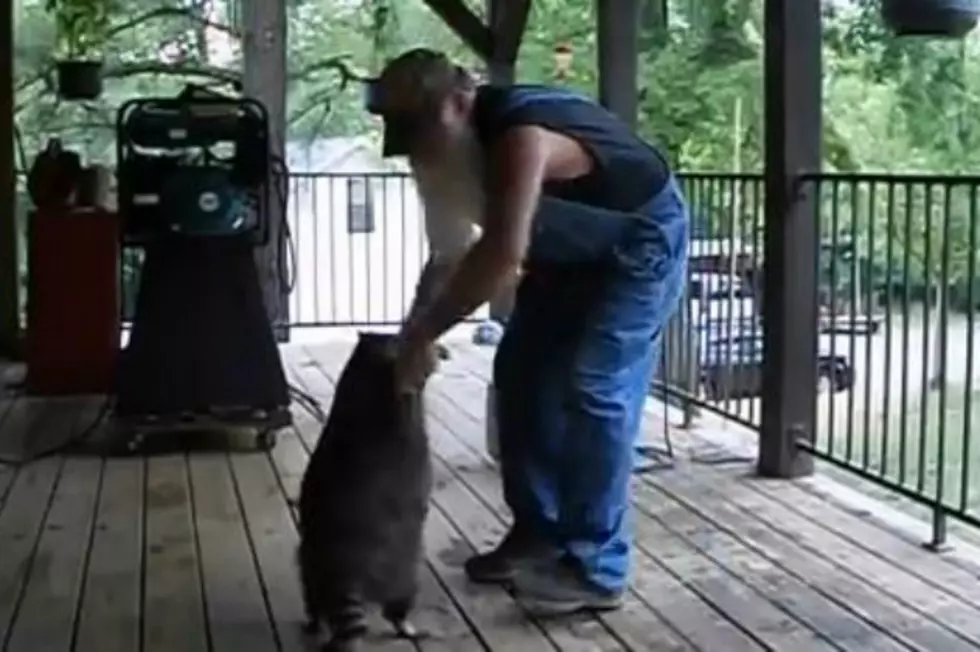 You’ve Got to See This Hillbilly Dancing With Raccoon While Listening to ‘Chain of Fools’