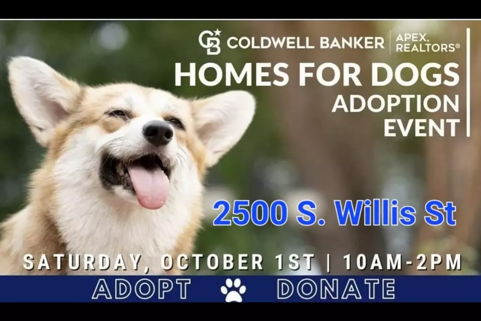 Homes For Dogs Adoption Event in Abilene is Set For October 1st