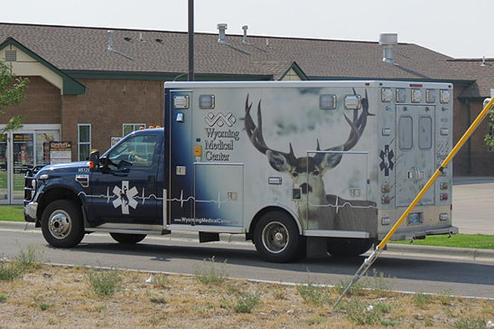Vote For The New Wyoming Animal To Appear On A WMC Ambulance