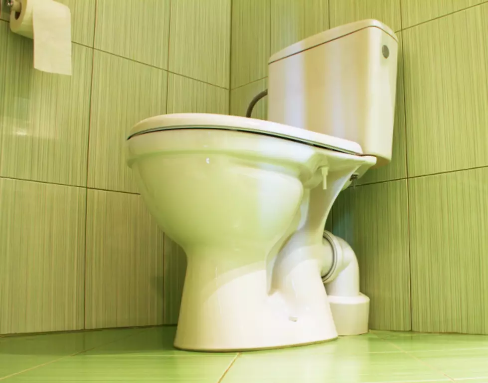 Whose Responsibility Is It To Lift or Lower The Toilet Seat? [POLL]