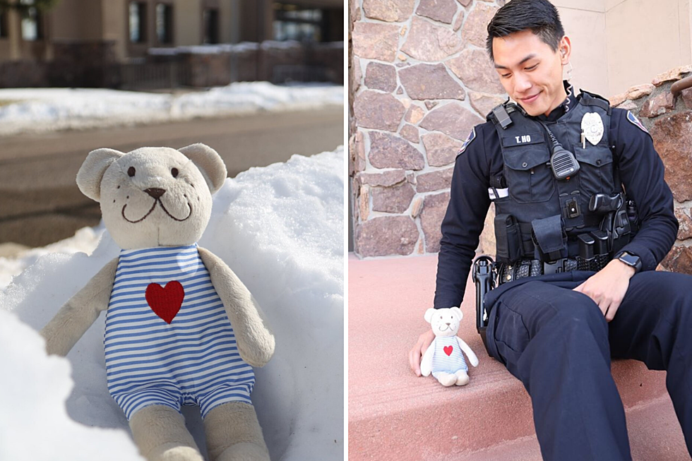 Lost Teddy Bear Found, Casper Police Department Looking For Owner