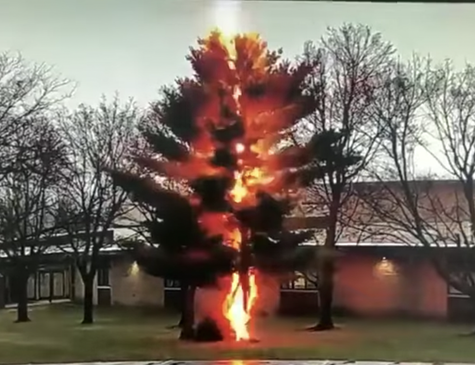 National Weather Service Video Shows Lightning Taking Out Tree