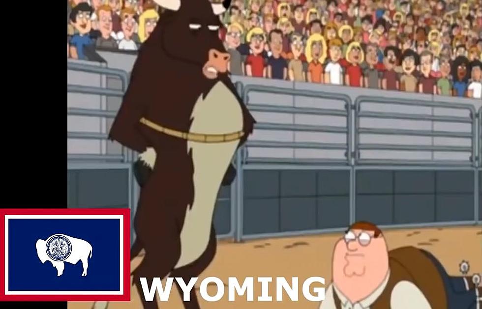 ‘Family Guy’ Makes Fun of All 50 States, But Wyoming Gets Lucky
