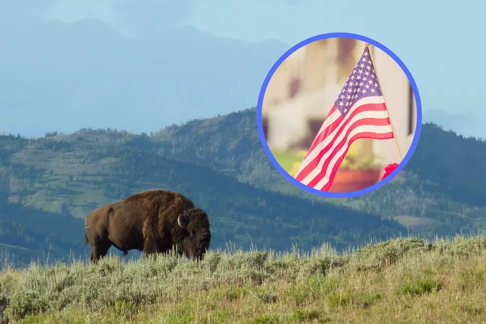 Wyoming Ranks in the Top 20 Most Patriotic States in America