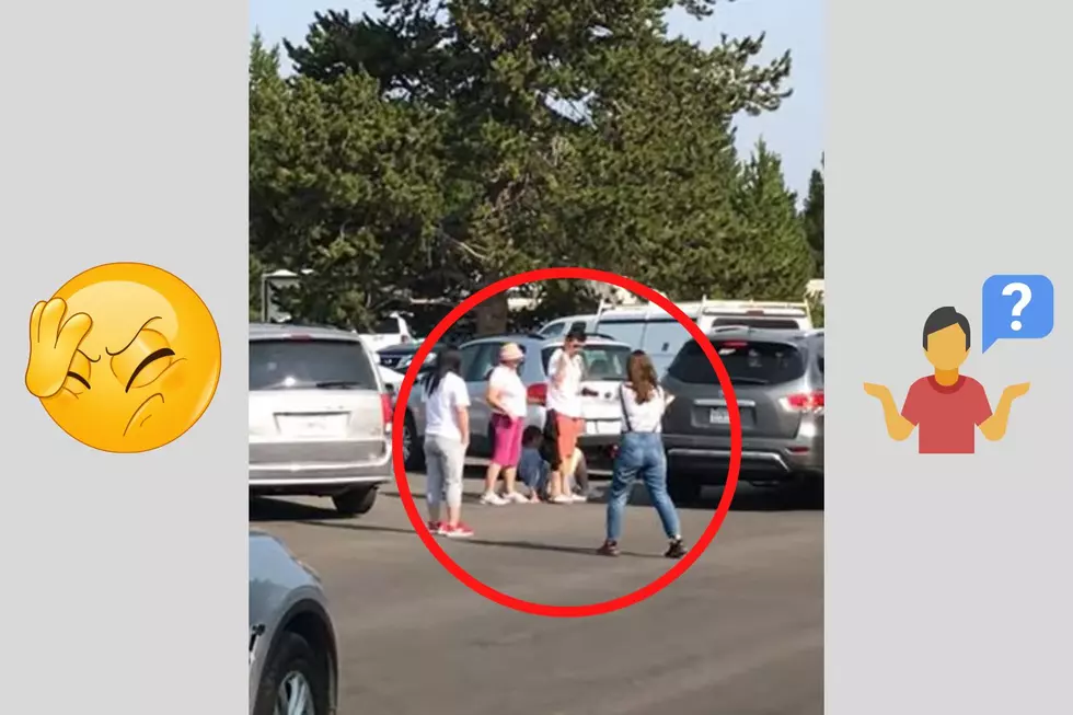 WATCH: Angry Tourists Argue Over Parking Spot in Yellowstone