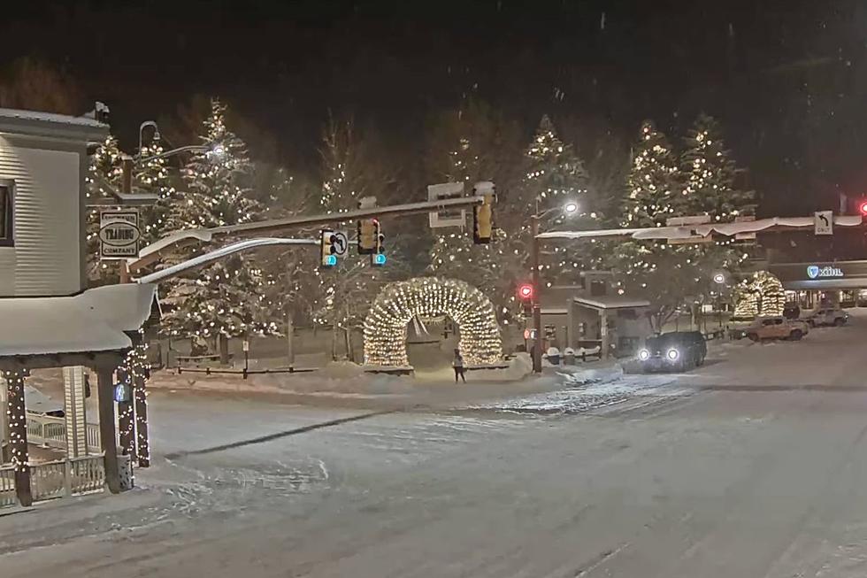Jackson Hole Livestream: A Glimpse of Incoming Wyoming Snowfall