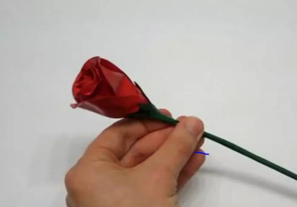 Duct Tape Roses [VIDEO]