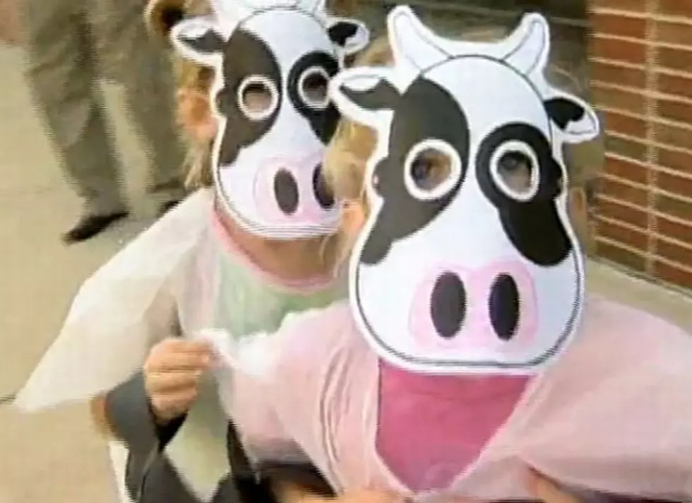 How to Dress Like A Cow for Free Food! [VIDEO]