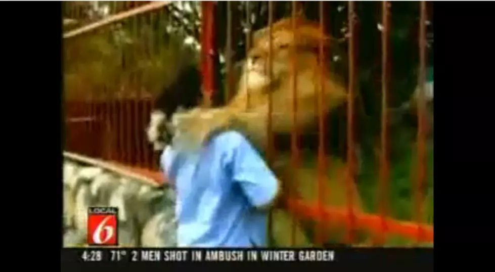 What’s This Lion About to Do to This Woman?  Don’t Worry — It’s Just a Hug [VIDEO]