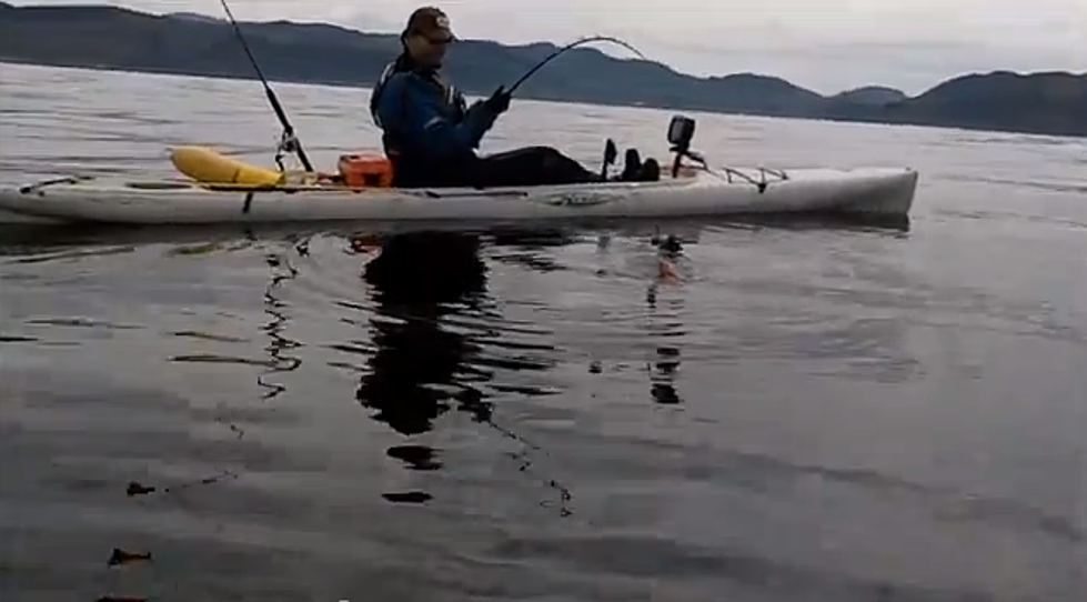 Fisherman Catches Octopus While Kayak Fishing [VIDEO]