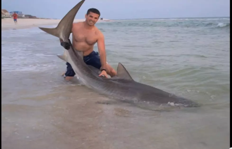 Big Catch While Surf Fishing [VIDEO]