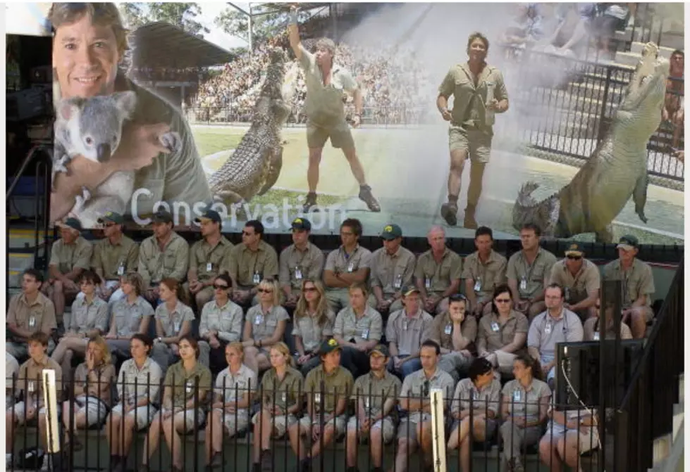 Remembering Steve Irwin – The Crocodile Hunter [VIDEO]