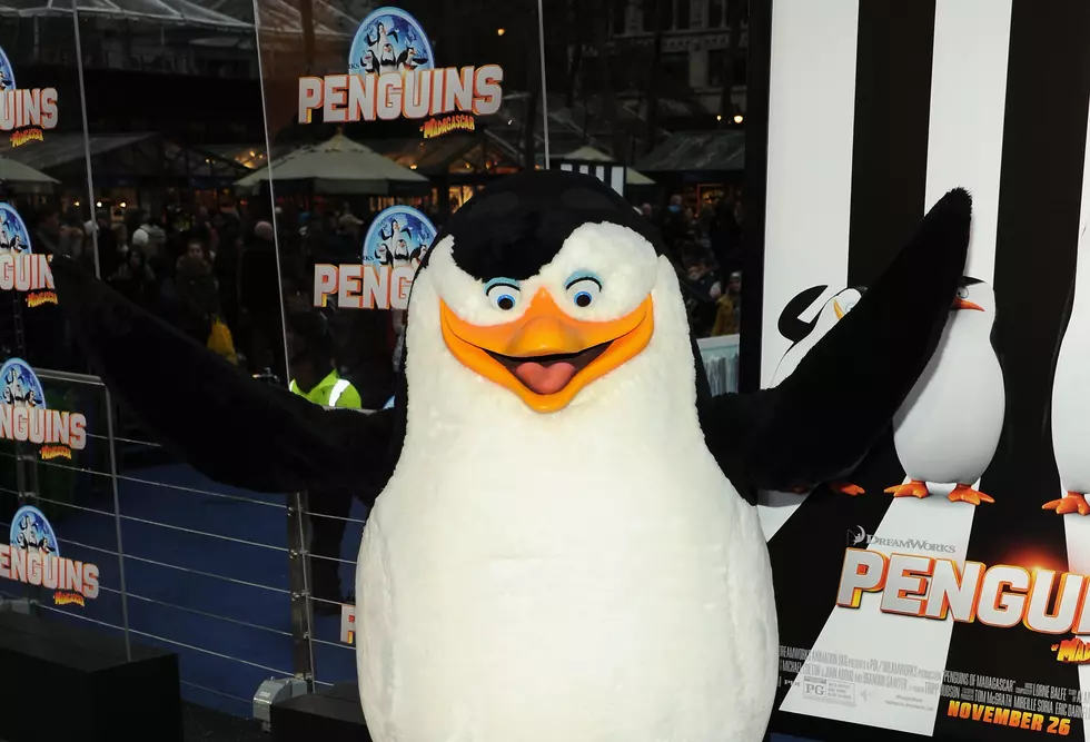 Win &#8216;Penguins of Madagascar&#8217; Movie Passes This Week!