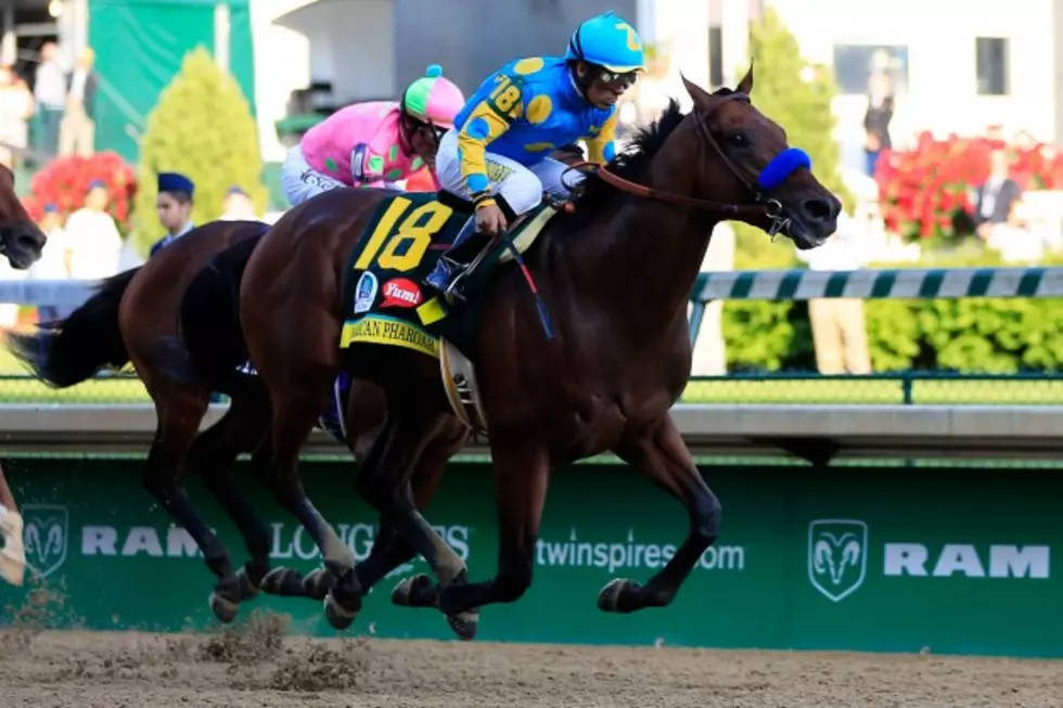 Will American Pharoah Pull Off Victory at Preakness This Afternoon? [Video]