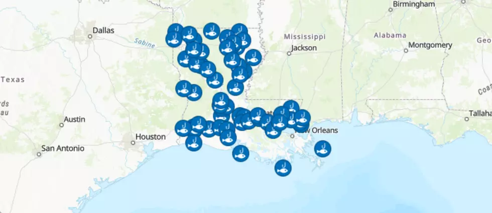 Interactive Map Shows Louisiana Waterways Unsafe To Swim Or Fish
