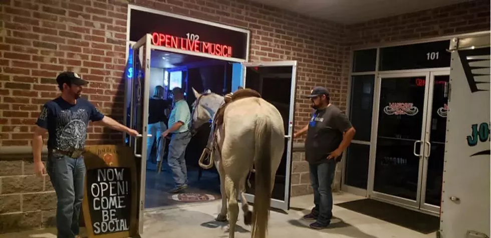 Social Club in Lake Charles Didn’t Say “Neigh” to this Customer