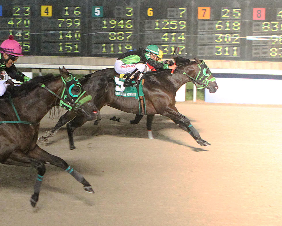 Quarter Horse Season Comes To An End Saturday At Delta Downs