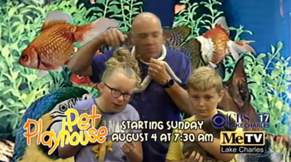 Hold On To Your Feathers, Pet Playhouse is Back on TV