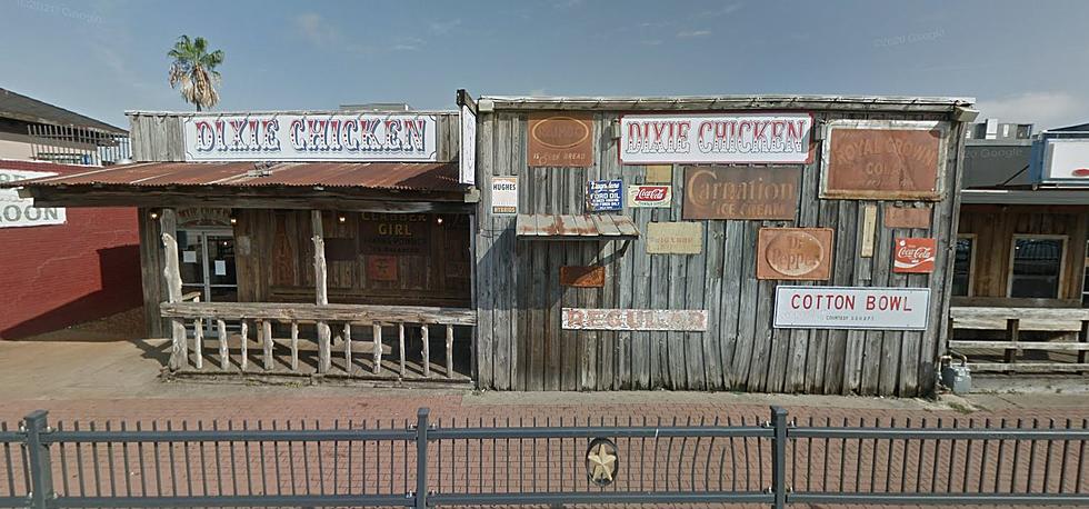 Texas’ Dixie Chicken’s Roof Collapses and Snake is Involved