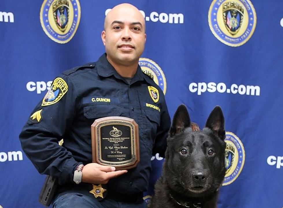 CPSO Mourns the Loss of K-9 King