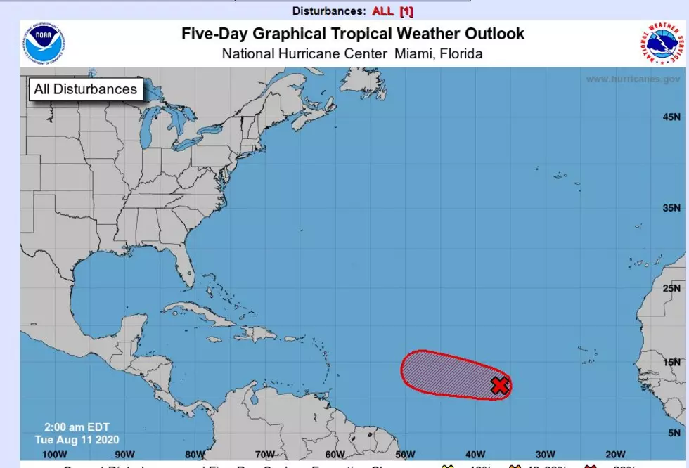 Tropical Disturbance Has Good Chance of Forming