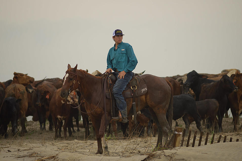 Local Photographer Runs Across Some Holly Beach Cowboys