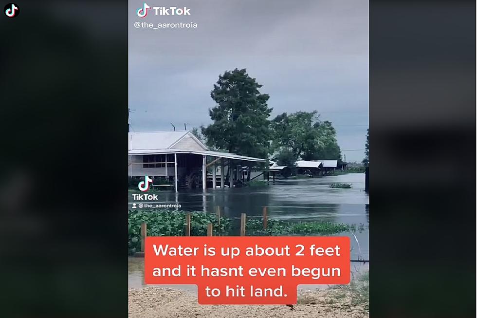 VIDEO: TikTok Users Document Hurricane Ida As It Comes on Land