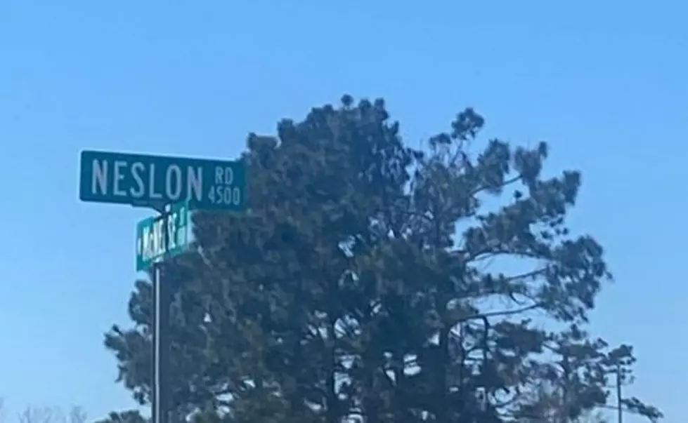 Anyone Notice This Spelling Mistake on Nelson Rd In Lake Charles?