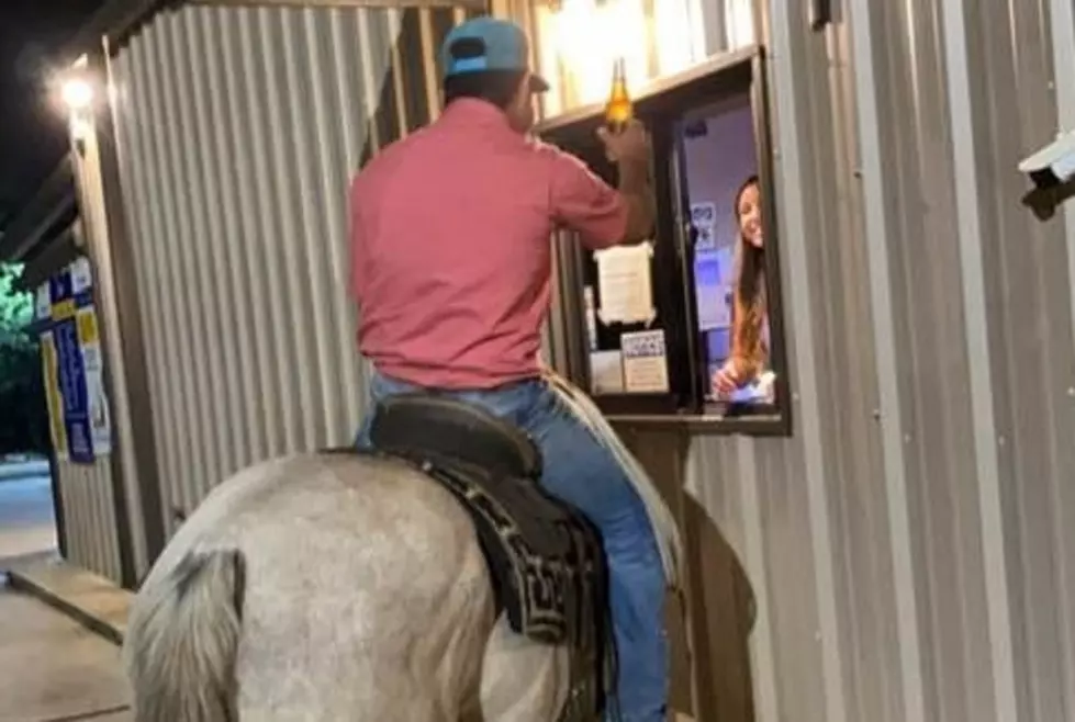 Lake Charles Cowboy Takes Horse to Bar Drive Through