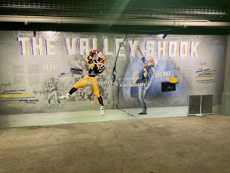 Tiger Stadium Adds Earthquake Mural to Gates 103-106