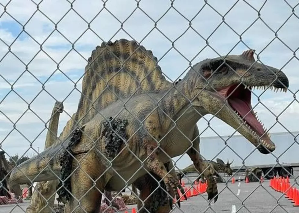 LOOK: Dinosaurs Have Taken Over the Prien Lake Mall Lake Charles