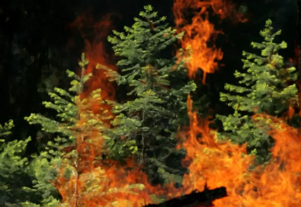 Man Arrested For Arson For Helena Wildfires