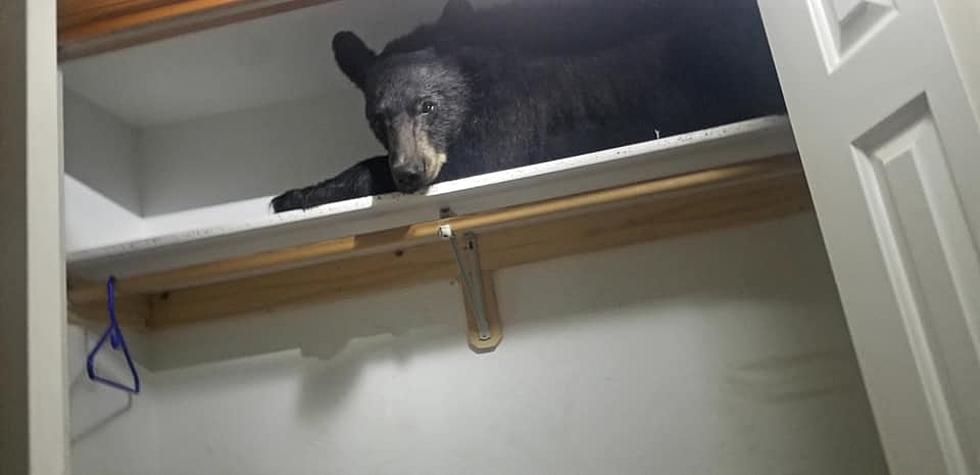 Deputies Find Bear Napping in Closet After Entering Home