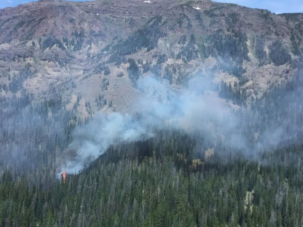 Fire Burning Near Eastern Boundary of Yellowstone National Park