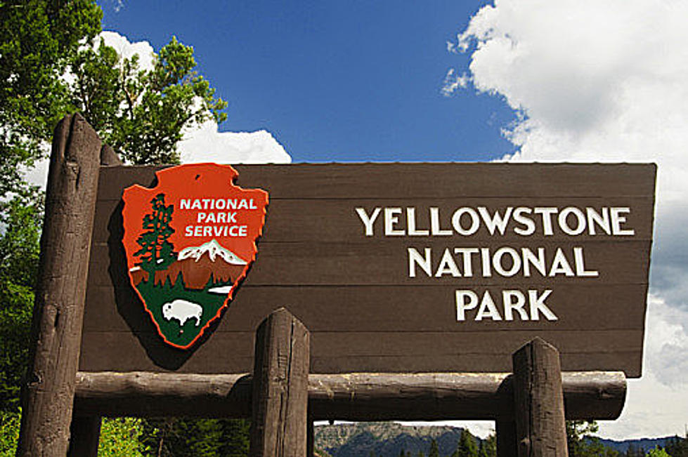 Major Water Main Breaks Causes Yellowstone Road Closure