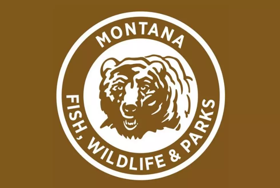 Montana FWP to Close Offices Statewide in Response to COVID-19
