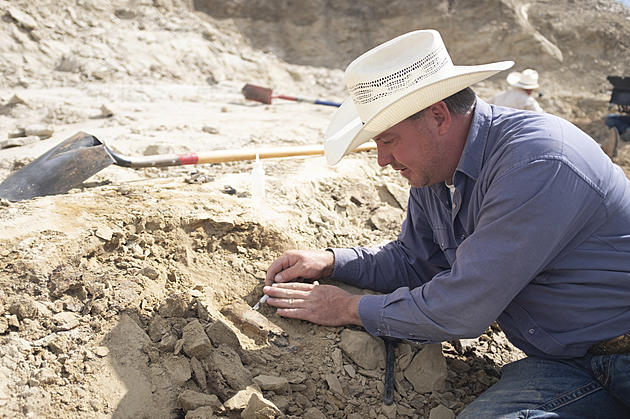 Montana Dinosaur Fossils Featured on New Discovery Channel Show
