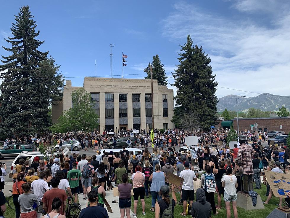 Bozeman’s Guide to Peaceful Protests