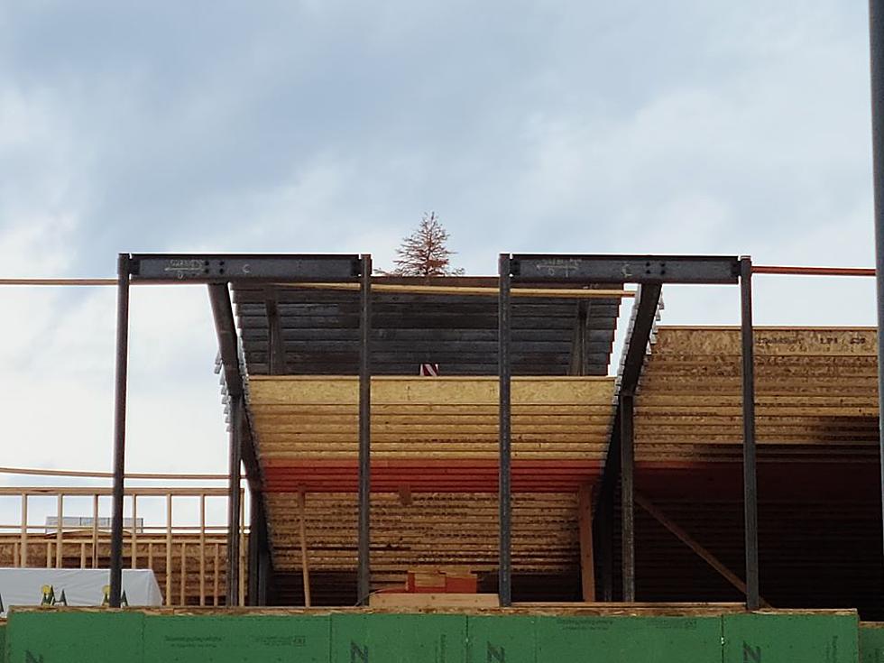 Here’s Why Small Trees Are Placed On Top Of Construction Sites