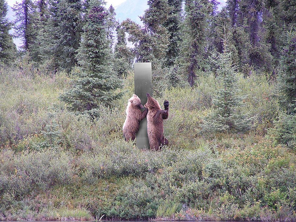Two Bears Get Up Close and Personal With Mysterious Monolith