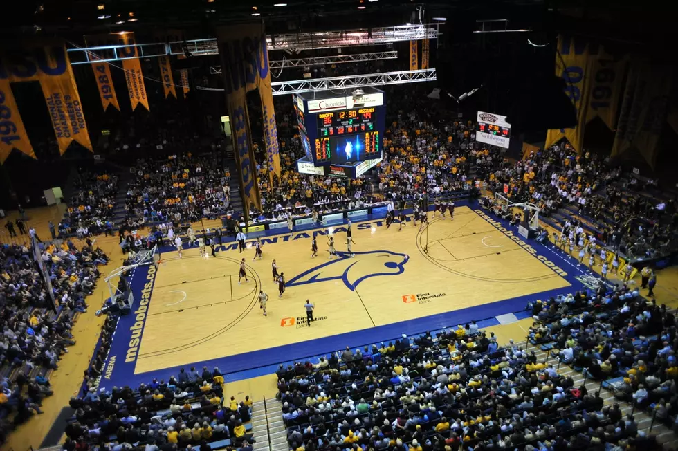 Montana State Men's Basketball Games Cancelled Due to COVID-19
