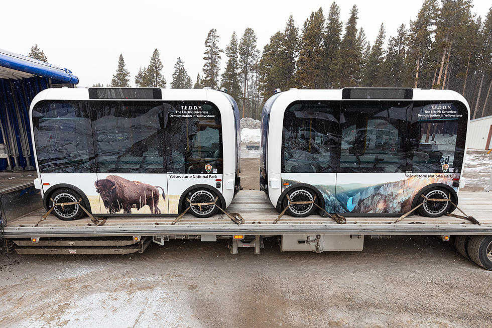 Yellowstone National Park Will Test Driverless Shuttles