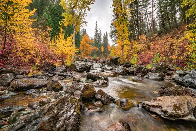 See Montana&#8217;s Breathtaking Fall Colors on This Scenic Drive